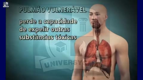 Ação da Fumaça no Corpo Humano
