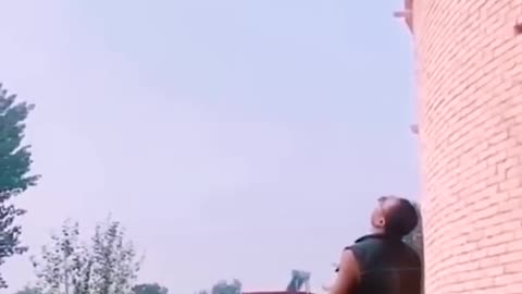EL PERRO QUE VUELA!! 😱🐶 vídeo reacción