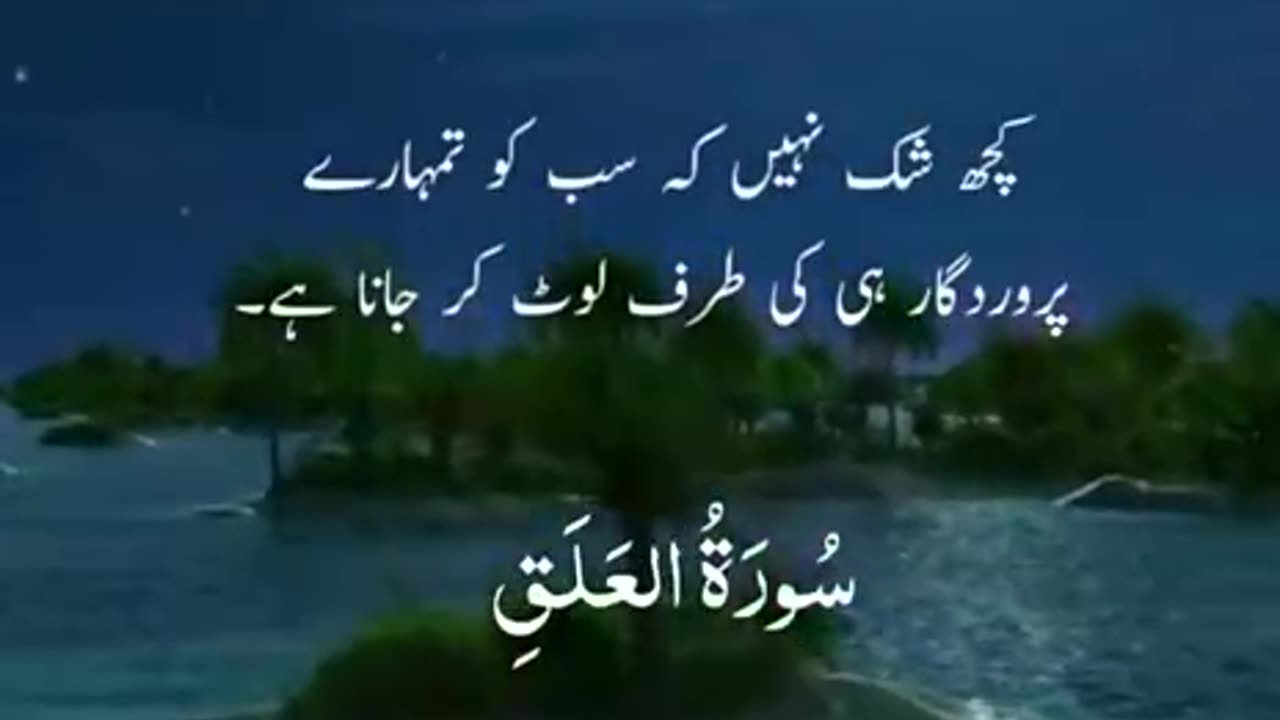 Beshak 💯♥️✨