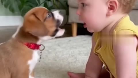 How cute baby and little puppy love it