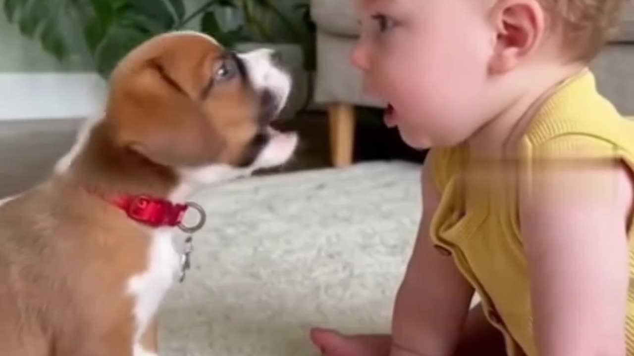 How cute baby and little puppy love it
