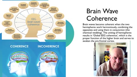 The Human Brain and the psychology of manipulation