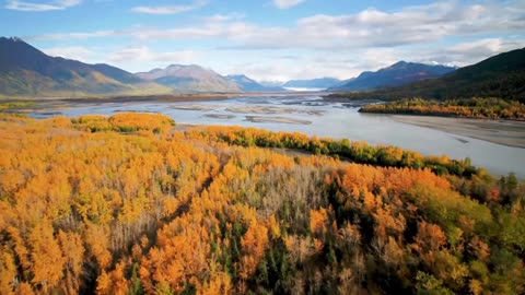 Timeless Classical Lofi Groove