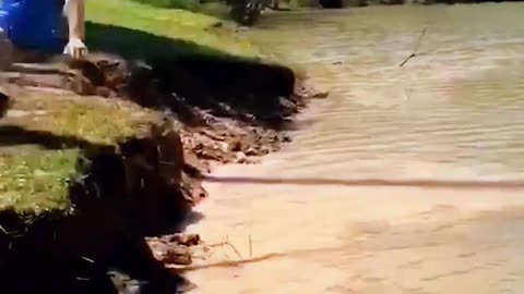 Rope Swings Never Fail to Disappoint !! 👊👊#funny#afv#fall# fail