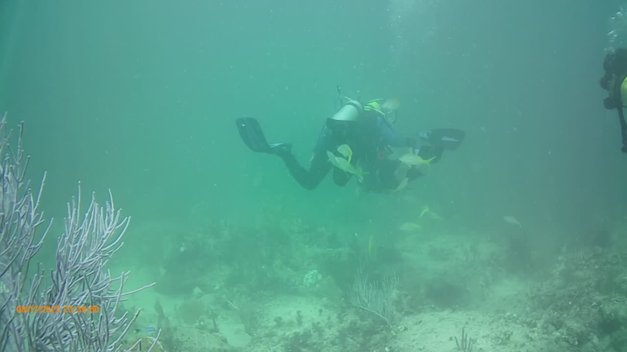 Coco Cay Dive Curt Spencer Nick Kregger