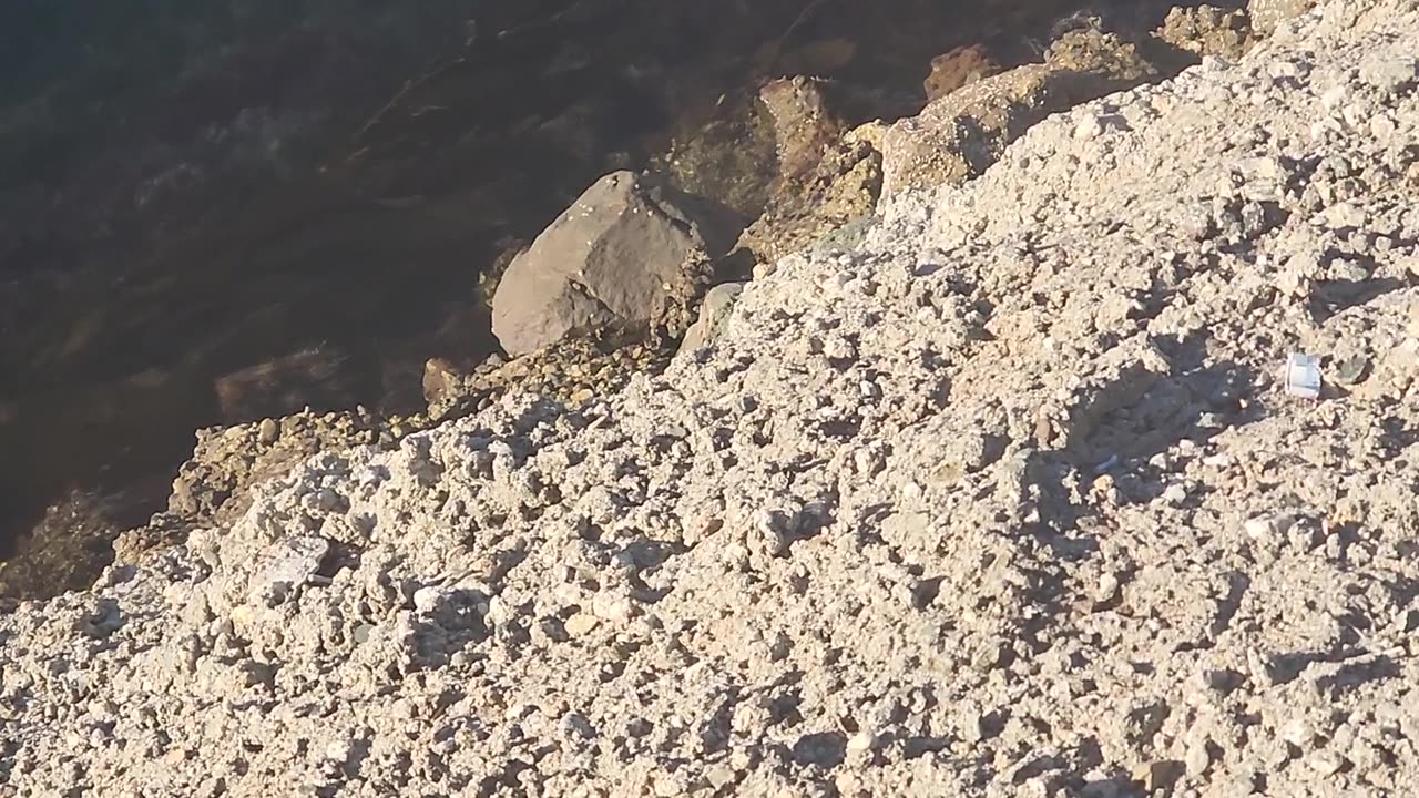 TRIP TO CATALINE ISLAND, February, 2025.