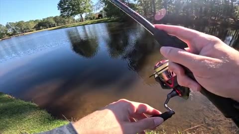 Fishing for 10lb Bass