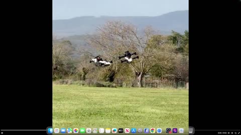 RECAI ISKENDER SUPER FOLLOSH SHOCK THERAPY