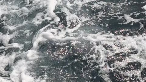 Daily Horoscope | Aquarius 🌟