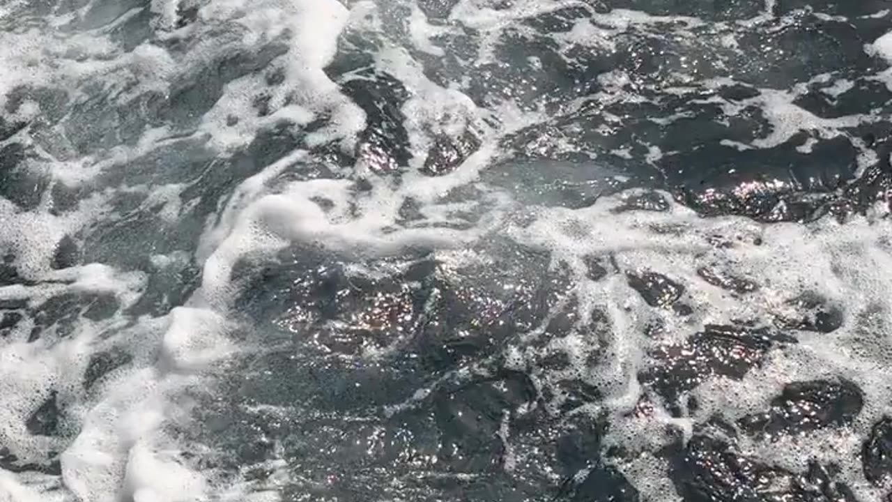 Daily Horoscope | Aquarius 🌟