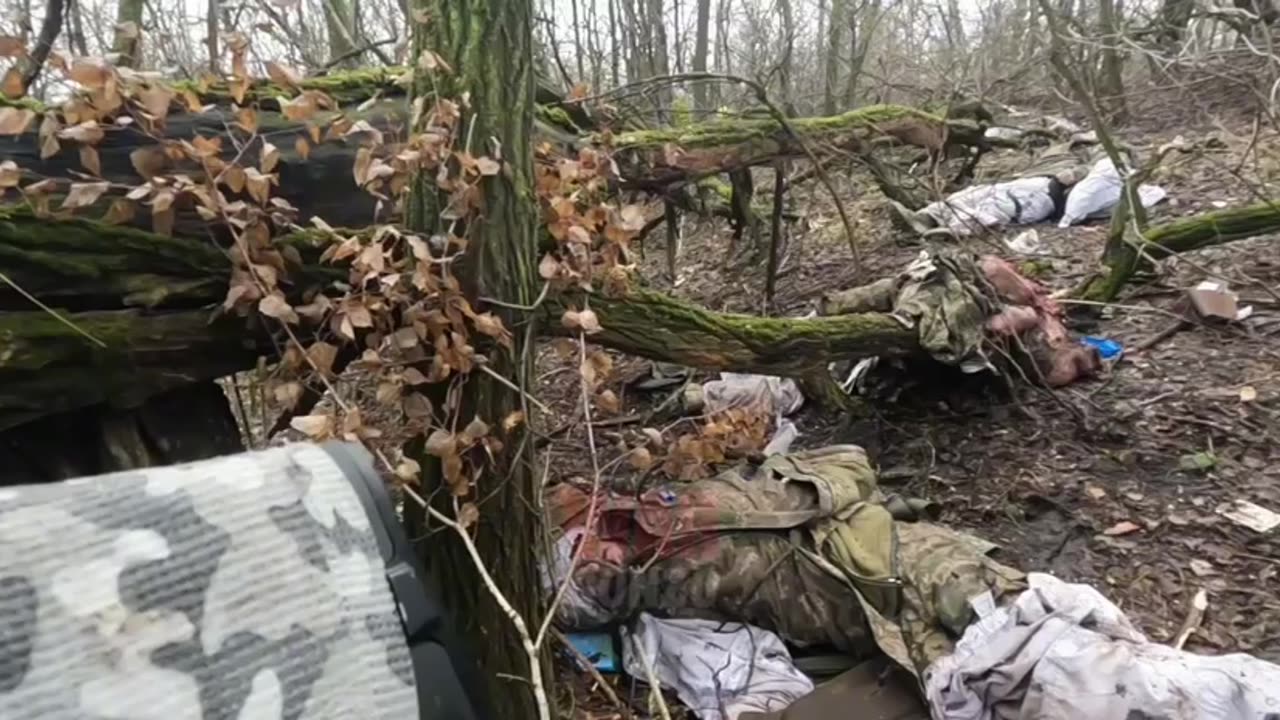 18+ Russian infantry clears forests in Kursk region