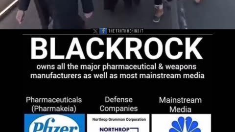 Blackrock CEO Larry Fink Confronted By Real Reporters