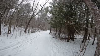 ❄️2025⛷️Winter Hiking⛄ Welcome To Stony Swamp Trails Part 3 in Ottawa ⛷️❄️⛄ Canada 🍁