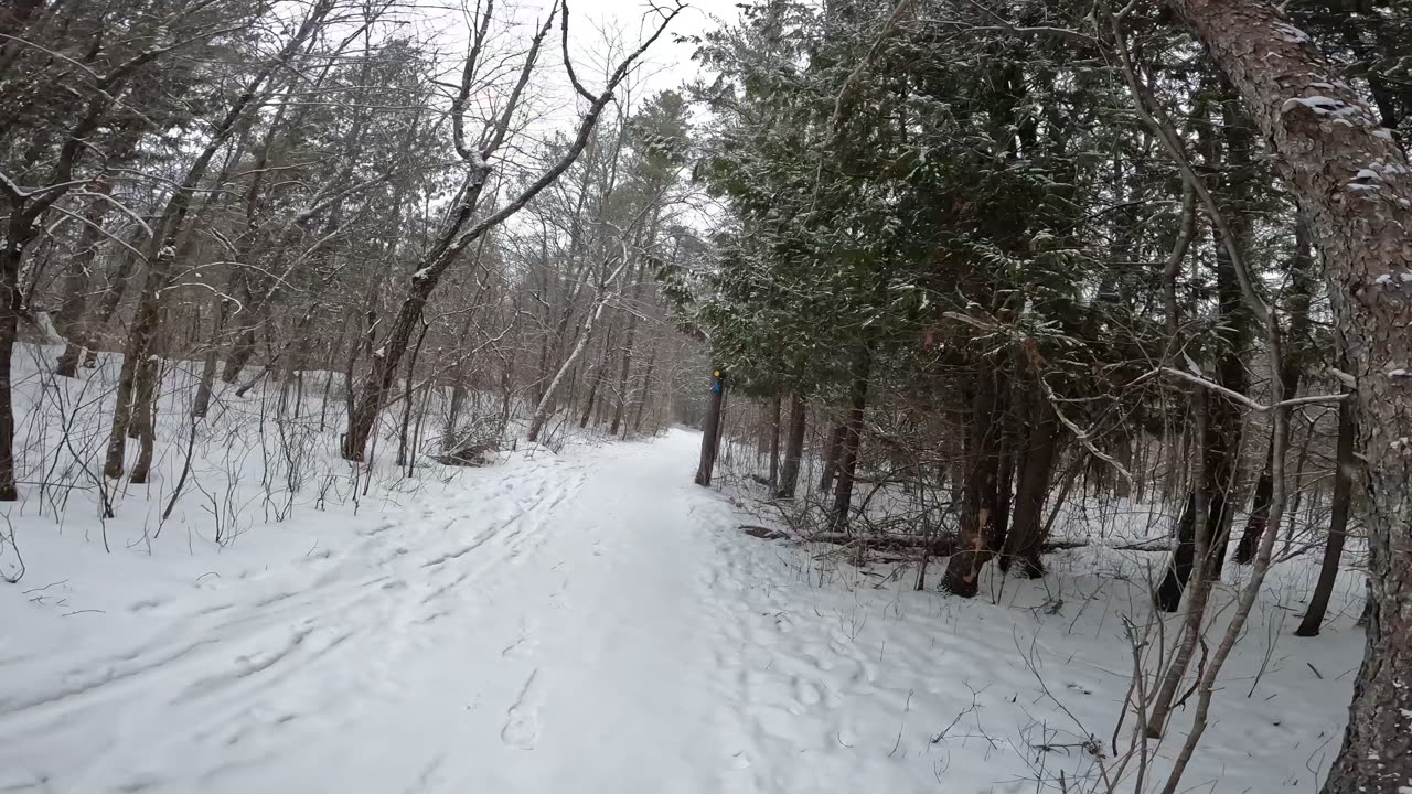 ❄️2025⛷️Winter Hiking⛄ Welcome To Stony Swamp Trails Part 3 in Ottawa ⛷️❄️⛄ Canada 🍁