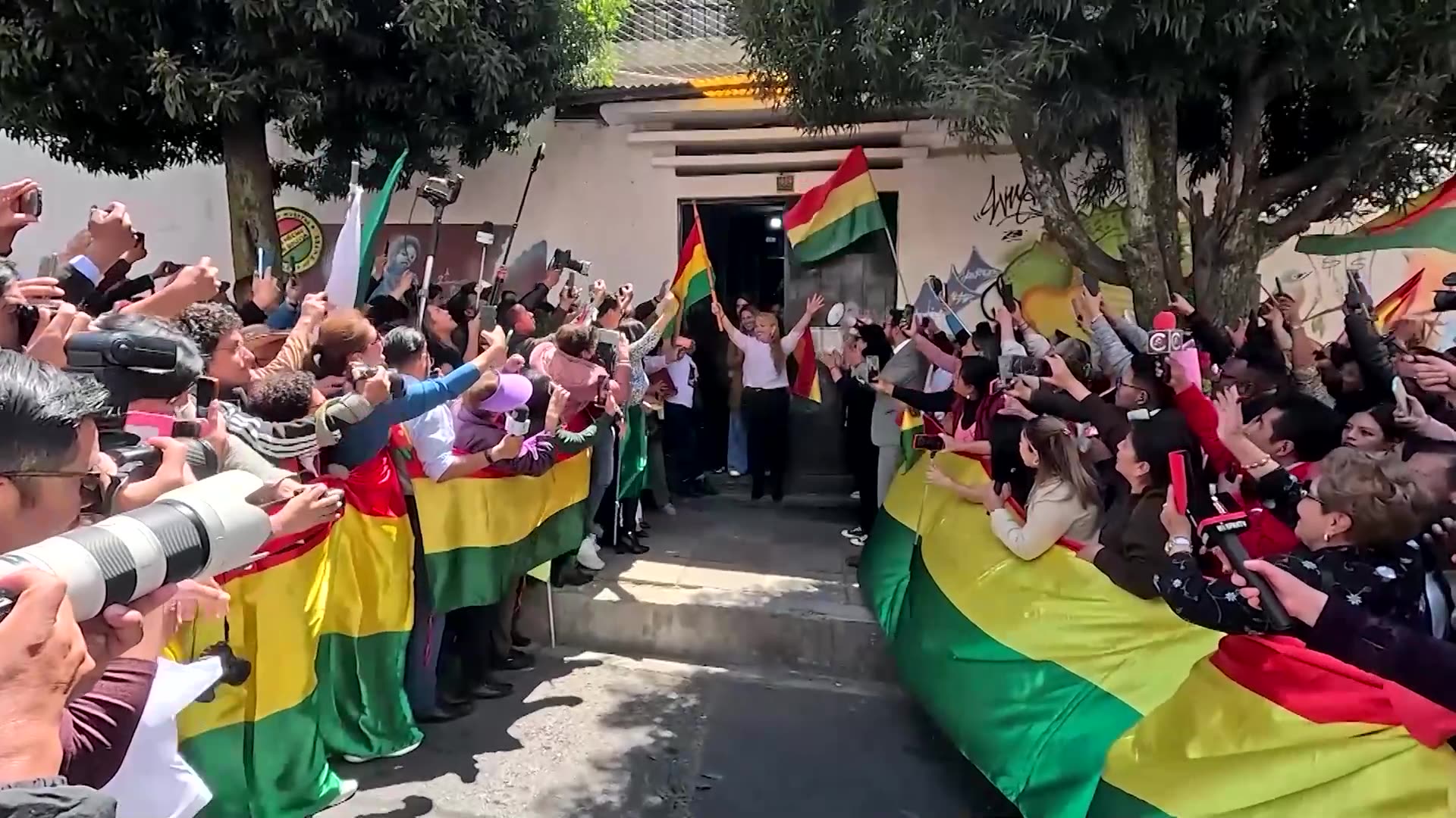 Bolivia ex-President Anez freed from prison