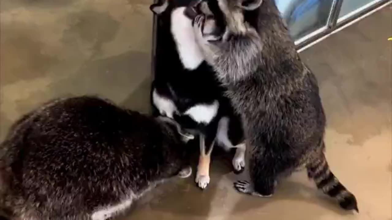 Making friends.. 😊