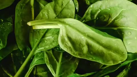 Benefits of Spinach in winter