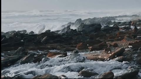 Daily Horoscope | Scorpio 🌟