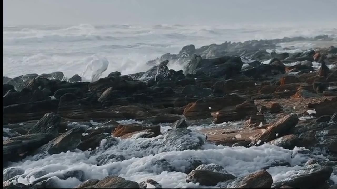 Daily Horoscope | Scorpio 🌟