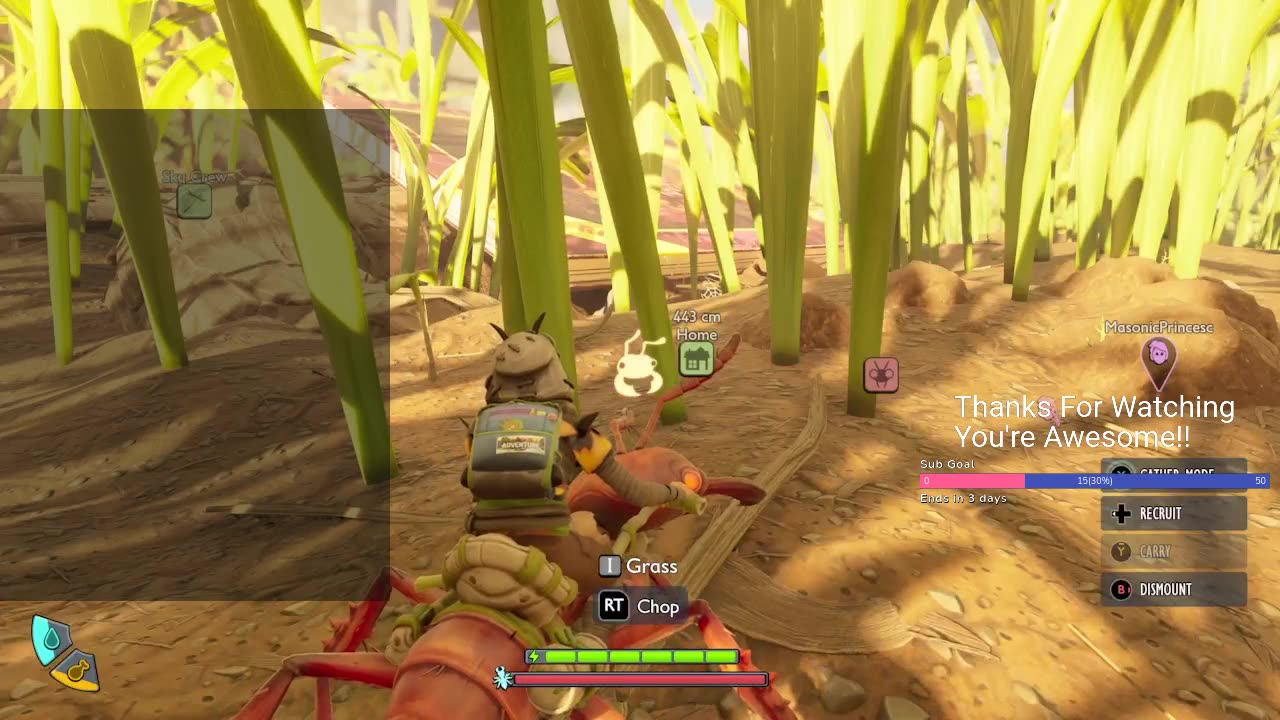 Win With Andrew - Grounded 2 with the Mrs.