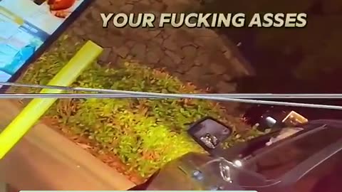 Average Taco Bell Experience