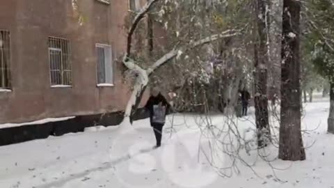 🇰🇿 Snowfall in Pavlodar Region: icy roads and traffic warnings, October 11, 2025