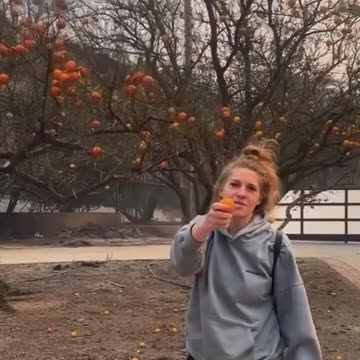 Everything has Burned