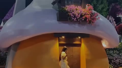 Explore Dubai's Winter Wonders in only 4 Days !