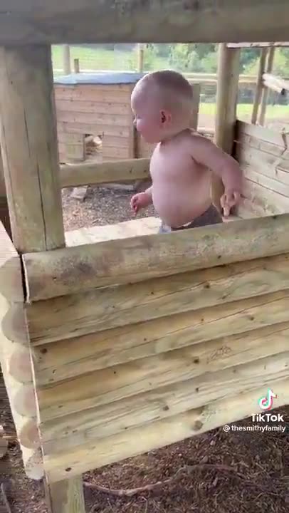 Palate Cleanser: Toddler Enjoys the Elevator His Family Built Him