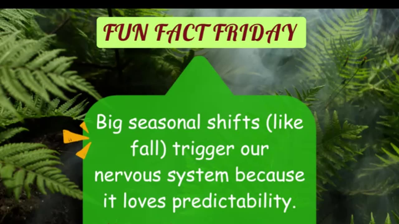 Seasonal shifts can trigger our nervous system
