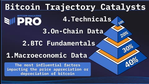 The Official Bitcoin EVERYTHING Indicator