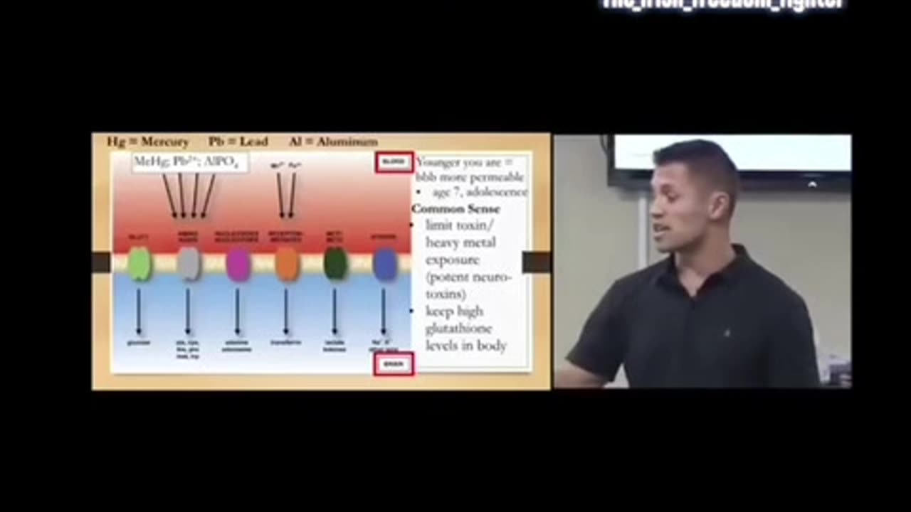 The Blood-Brain Barrier & Vaccines: Are We Poisoning Developing Minds?