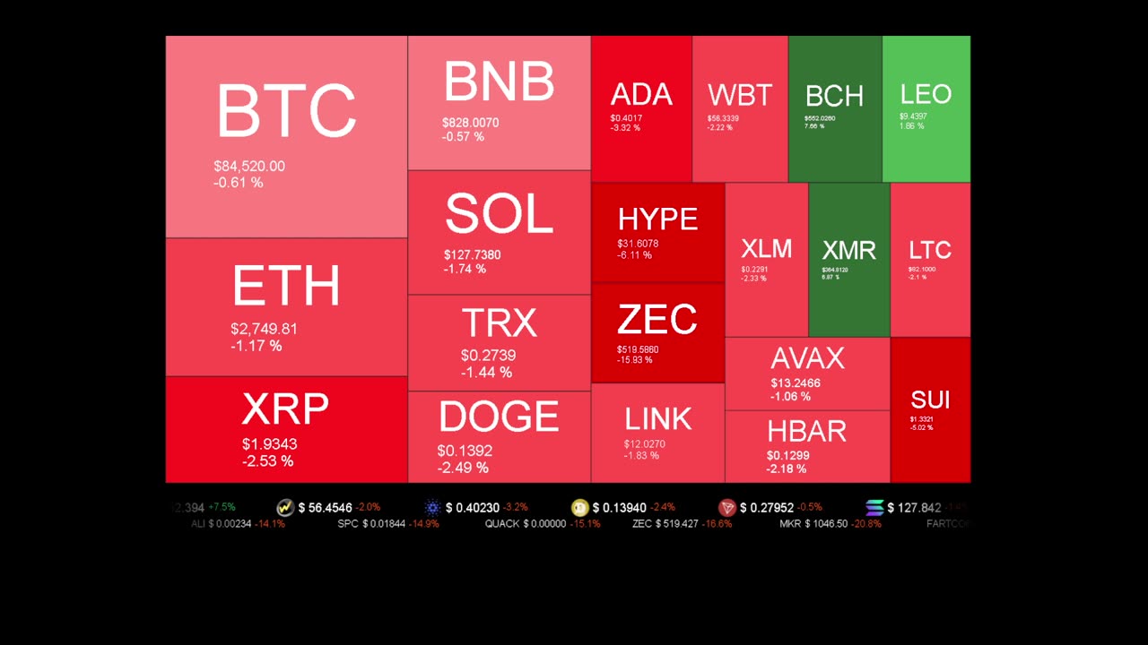 Live Coin Price Watch!