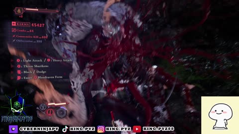 Ninja Gaiden 4 Gameplay vid 19