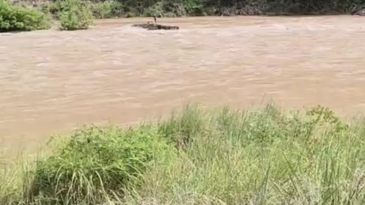 🤯✨ Watch a Heavy Duty Drone Save a Stranded Man! | FeedMyCuriosity