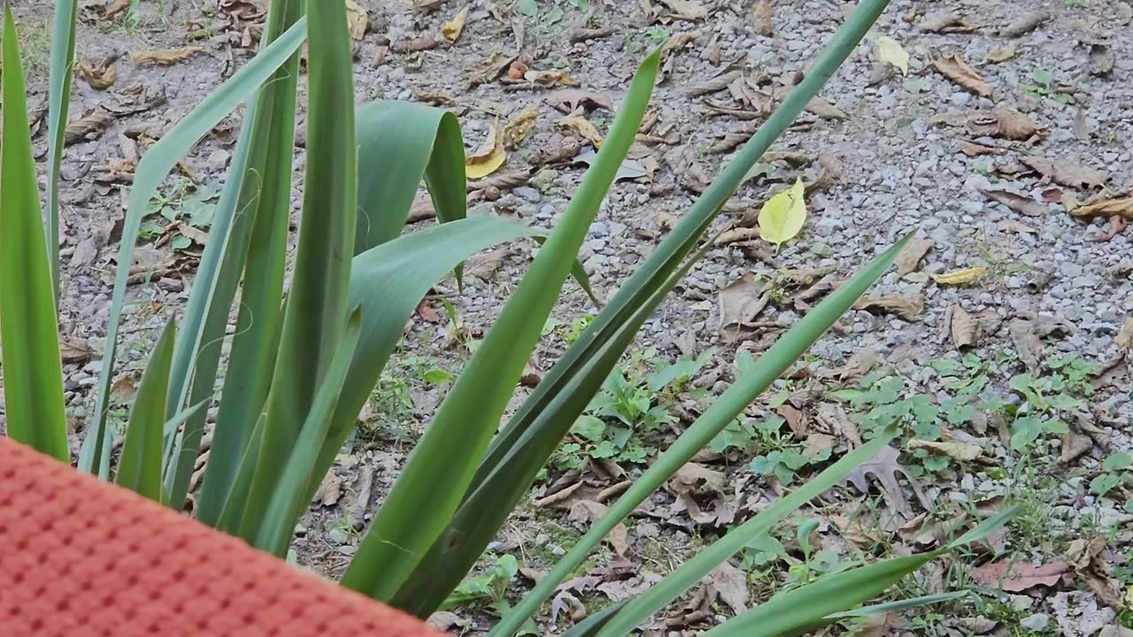 A Pipe and a Visitor