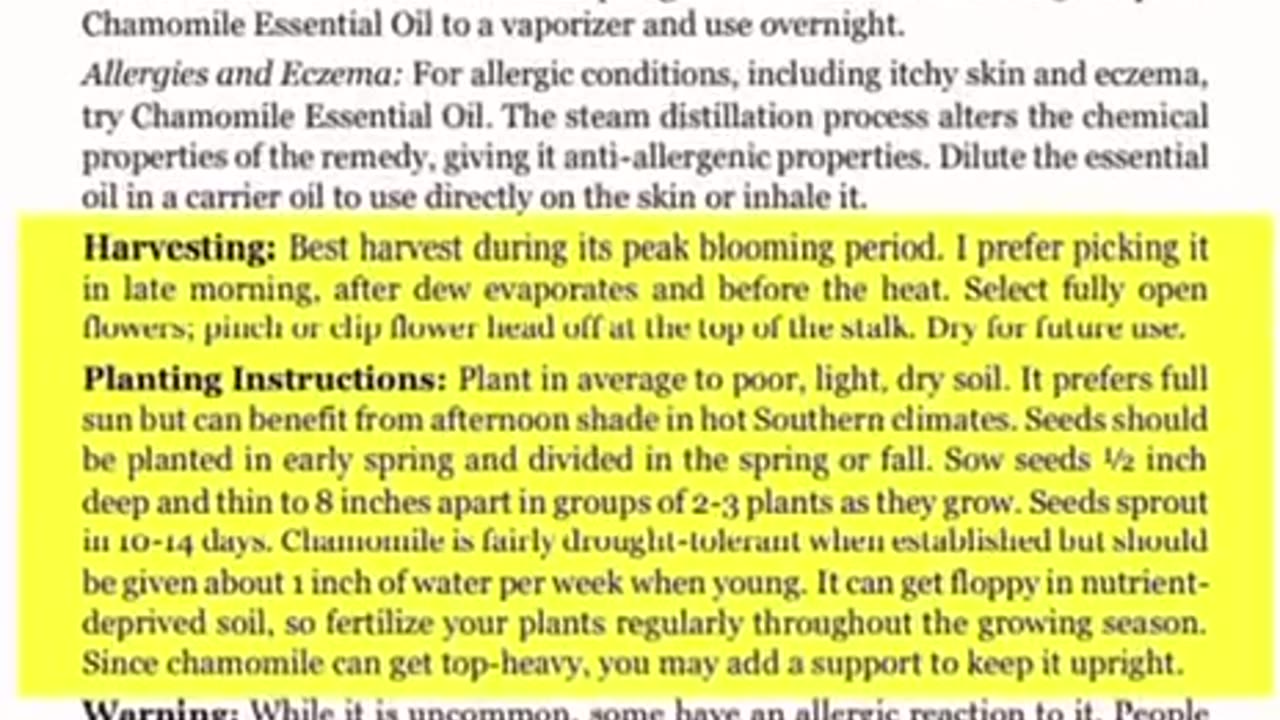 Turn your backyard into a pharmacy with the help of our medicinal garden kit