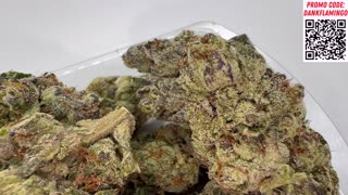 Grand Daddy Purp Premium from Shop Hello Mary! Dankin with the Flamingos Review!!