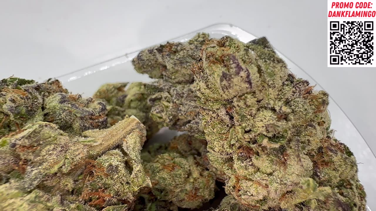 Grand Daddy Purp Premium from Shop Hello Mary! Dankin with the Flamingos Review!!