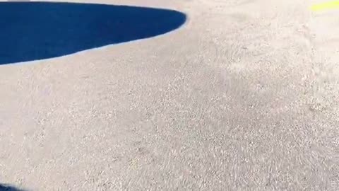 Easy peasy Sheboon shows off how easy it is to shoplift in White hoods