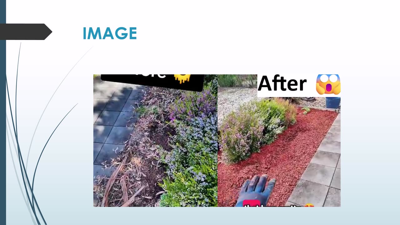 The Best Lawn Care in Leura.