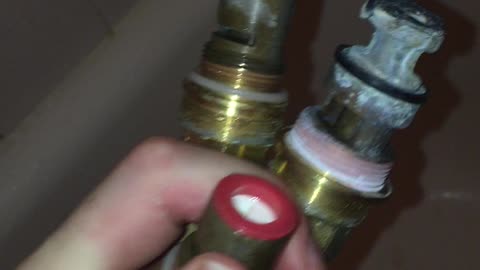 Mystery Leak 5 (Hudson Valley, NY)