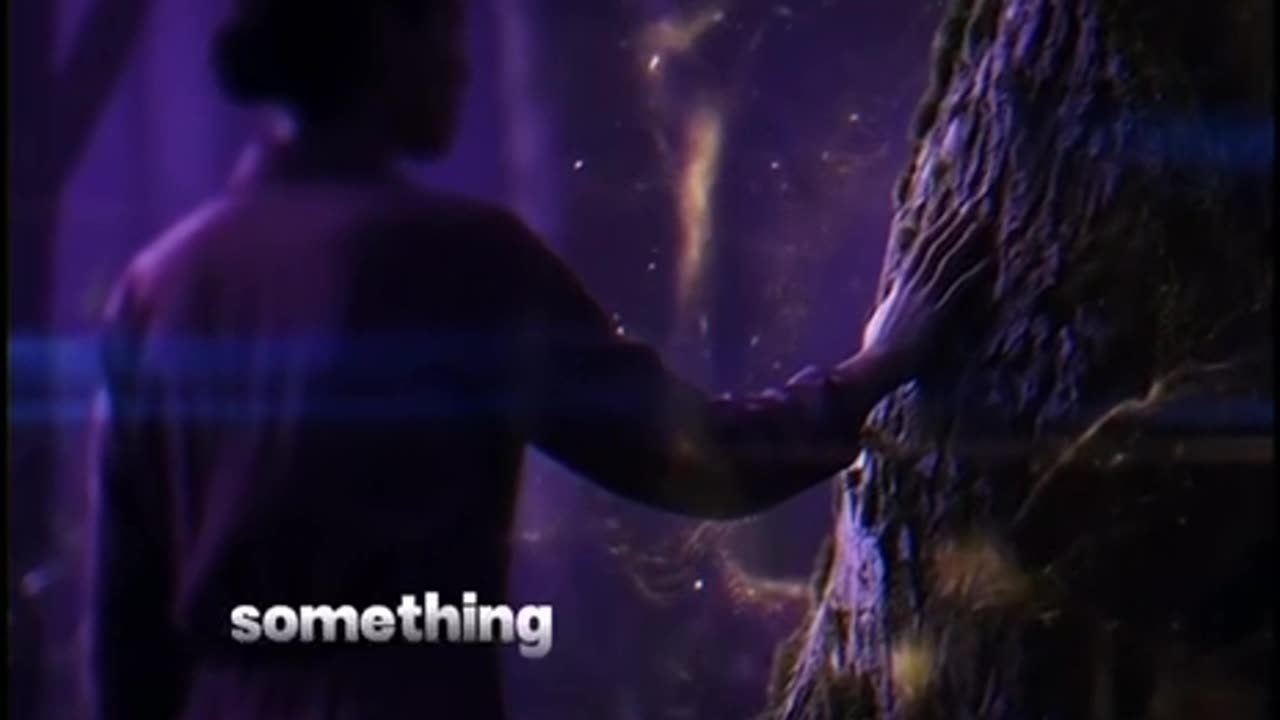 Touching a Tree 🌳 can Reset our Entire System ✨