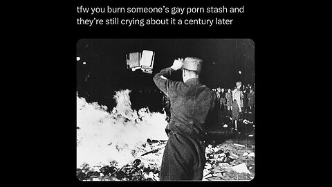 THEY always told us that the NAZIS were BOOK BURNERS but they never told us the books they burned?