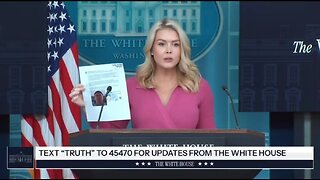 Karoline Leavitt Confirms Illegal Alien Killed Four Americans In An Indiana Car Wreck