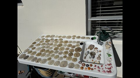 Beach Finds 12/21/2025 | 4K