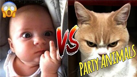 Cats Meeting Babies for the FIRST Time [NEW] Compilation