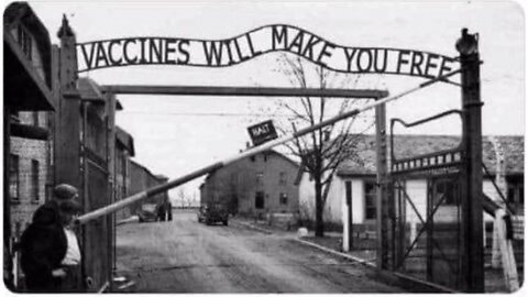 "Are you comparing the Covid Vaxx to the Holocaust?" - US Senate hearing