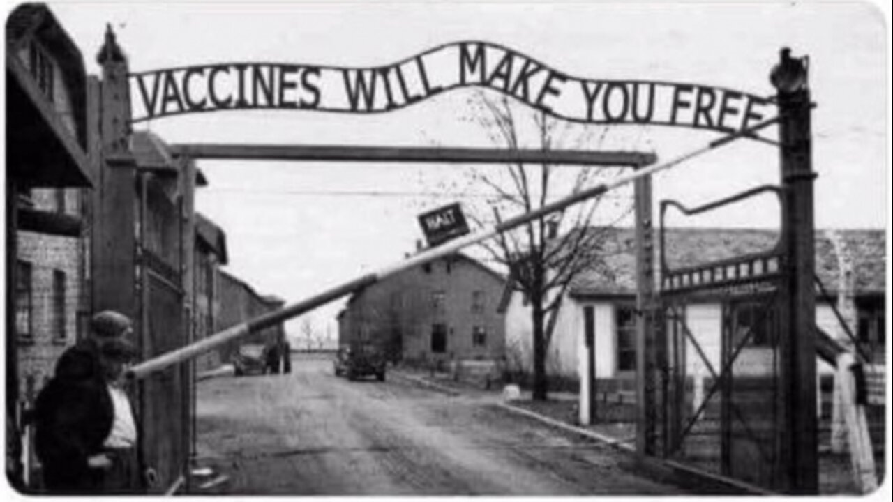 "Are you comparing the Covid Vaxx to the Holocaust?" - US Senate hearing