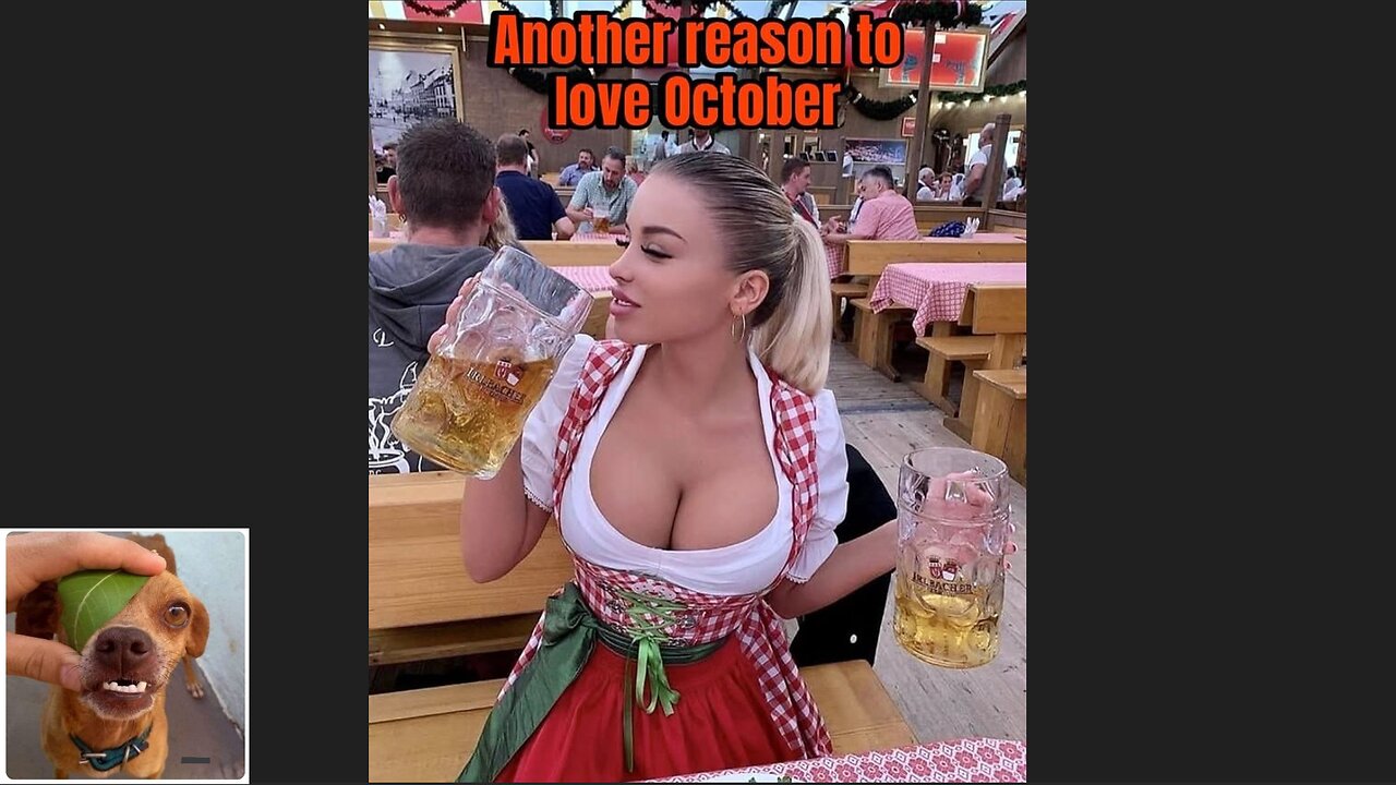 Memes That Will 99.0395% Make You Laugh. (e619)
